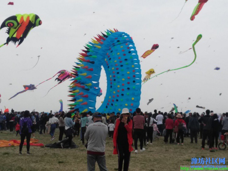IMG_20190420_132847R.jpg
