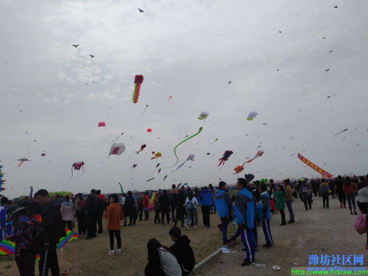 IMG_20190420_132955R.jpg