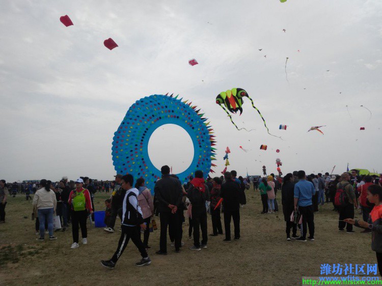 IMG_20190420_133020R.jpg