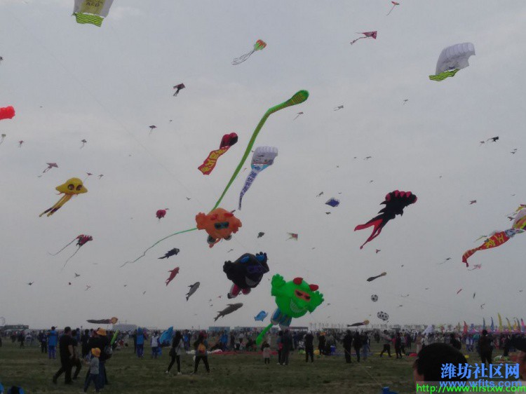 IMG_20190420_133058R.jpg
