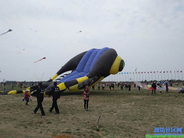 IMG_20190420_133229R.jpg