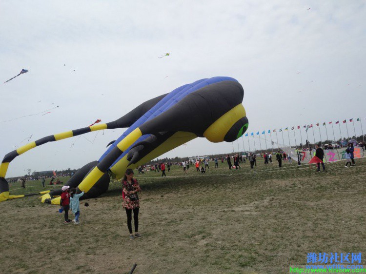 IMG_20190420_133234R.jpg