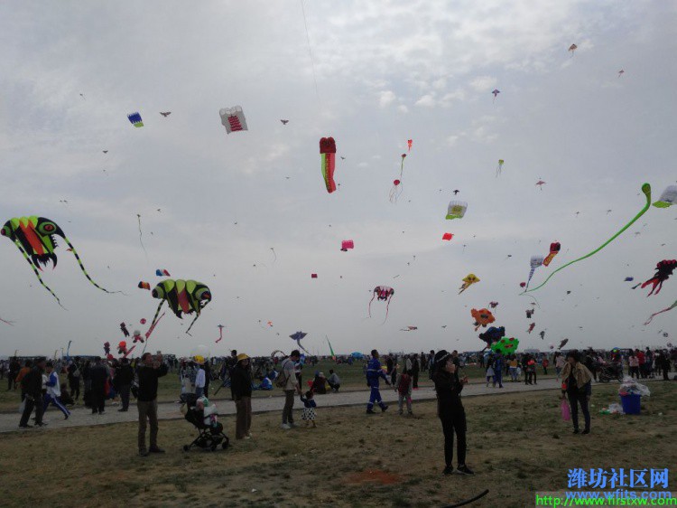 IMG_20190420_133244R.jpg