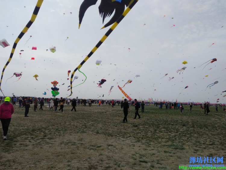 IMG_20190420_133438R.jpg