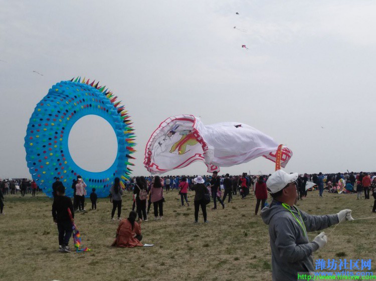 IMG_20190420_134621R.jpg