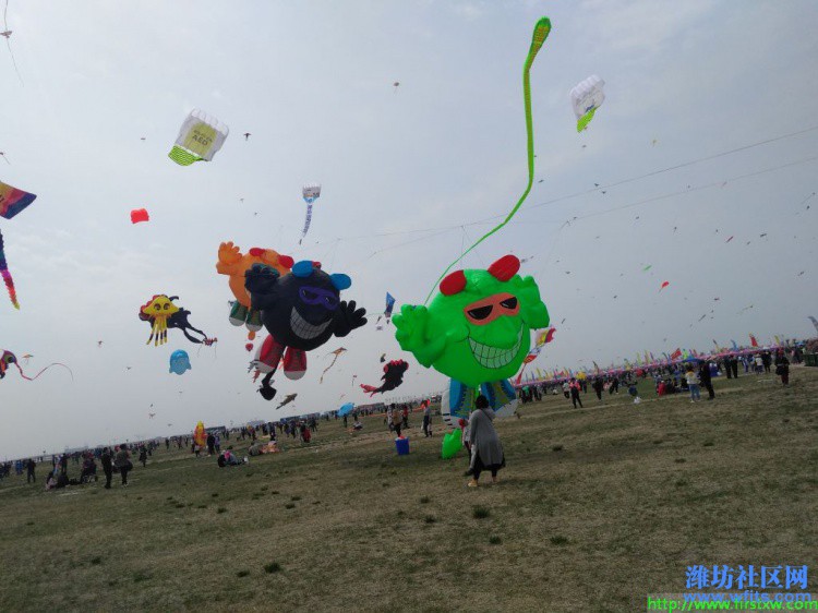 IMG_20190420_134804R.jpg