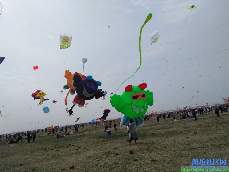 IMG_20190420_134806R.jpg