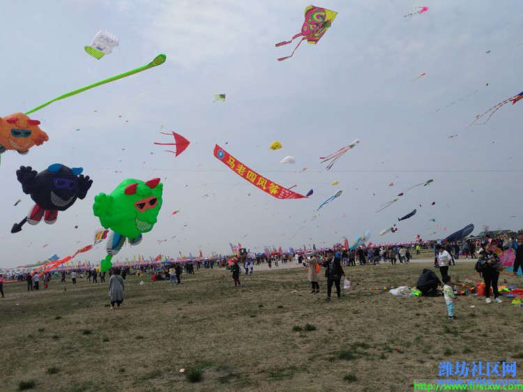 IMG_20190420_134830R.jpg