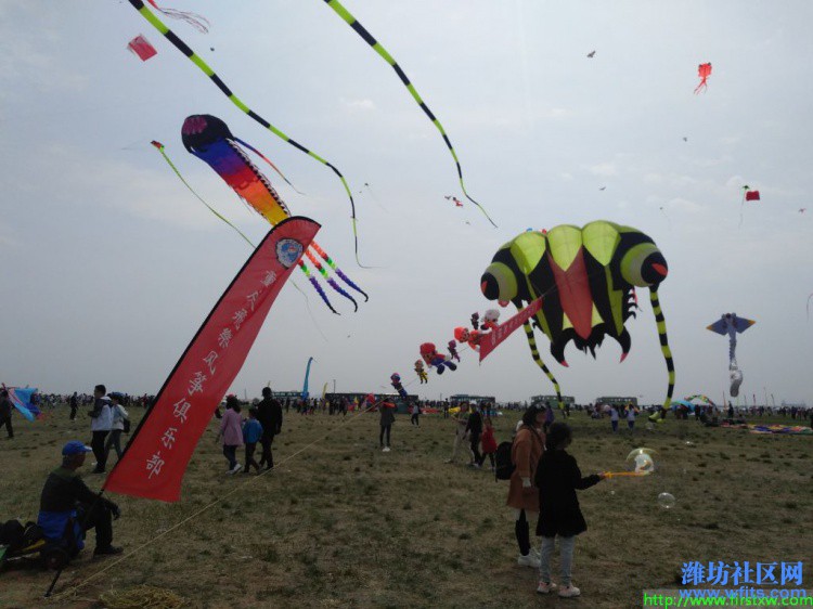 IMG_20190420_135017R.jpg