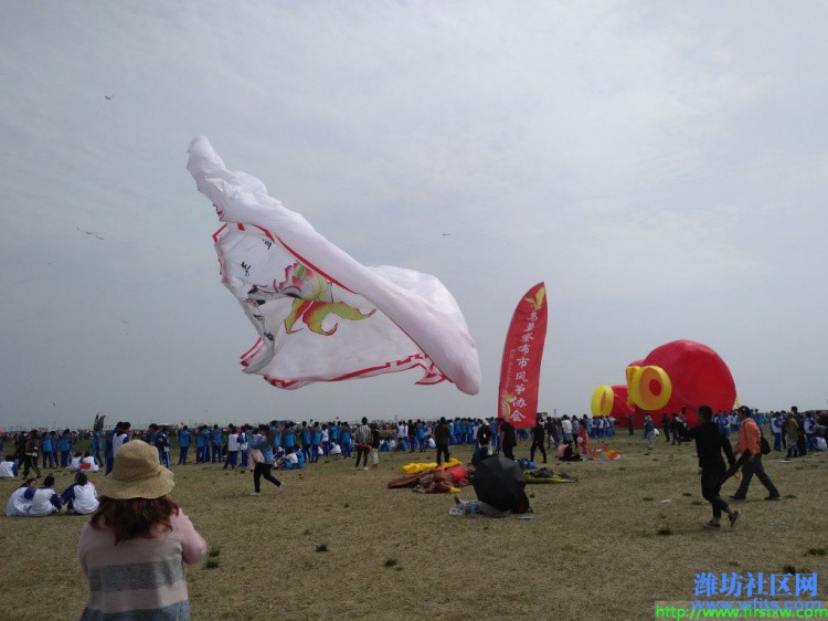 IMG_20190420_135045R.jpg