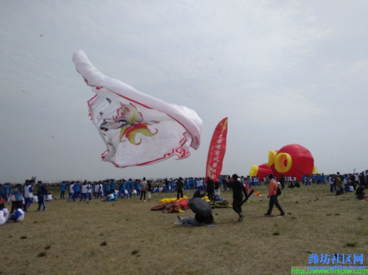 IMG_20190420_135047R.jpg