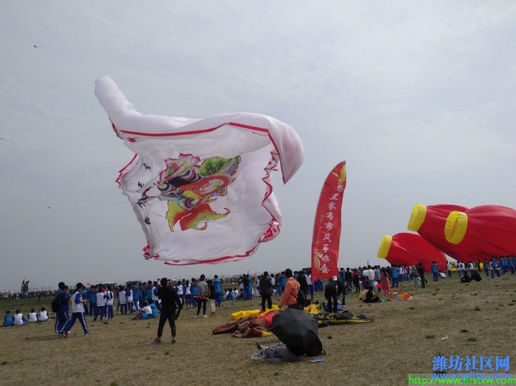 IMG_20190420_135051R.jpg