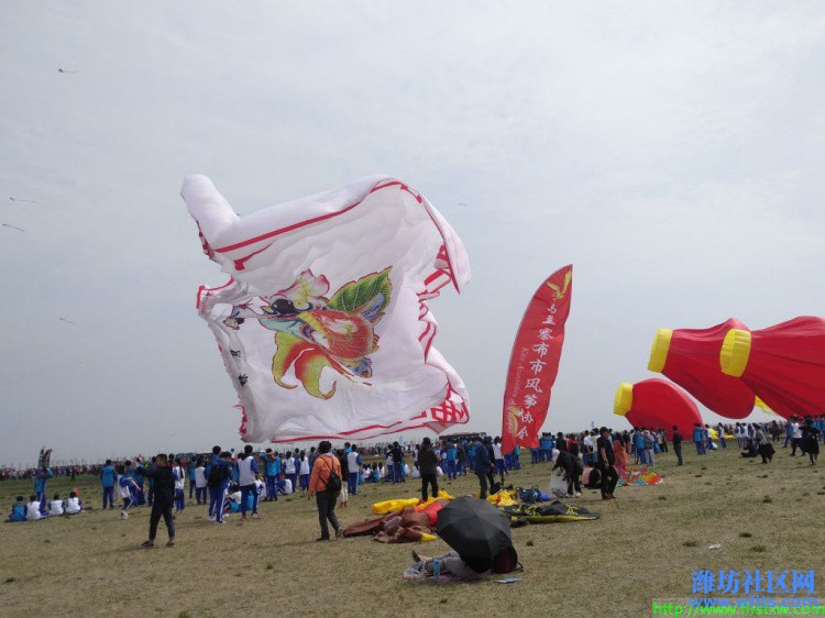 IMG_20190420_135054R.jpg