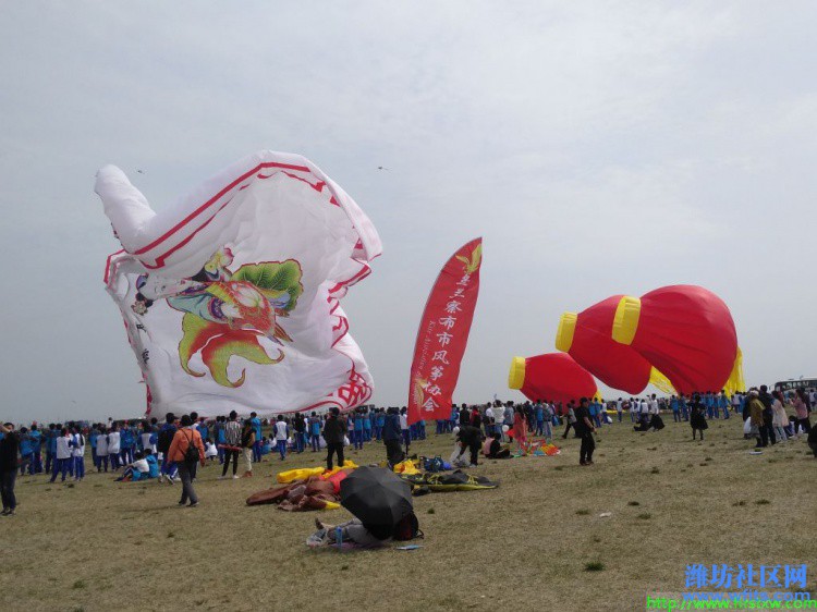 IMG_20190420_135056R.jpg