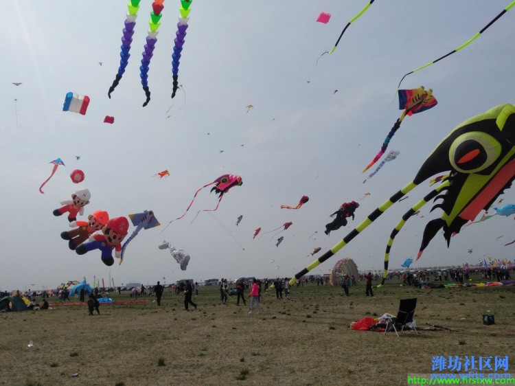 IMG_20190420_135107R.jpg