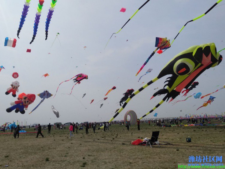 IMG_20190420_135109R.jpg