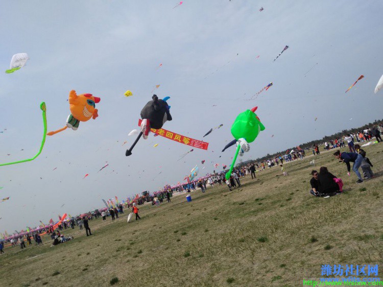 IMG_20190420_135338R.jpg