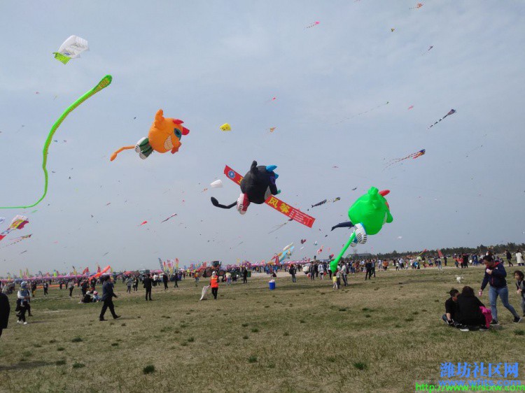 IMG_20190420_135343R.jpg