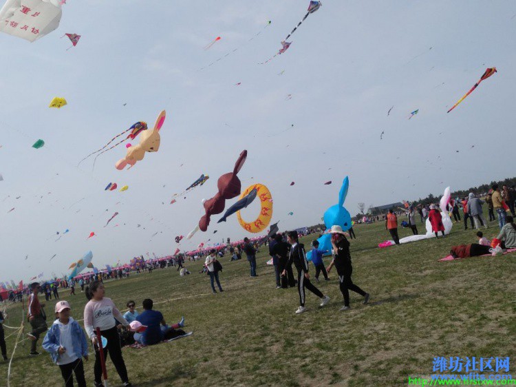 IMG_20190420_140104R.jpg
