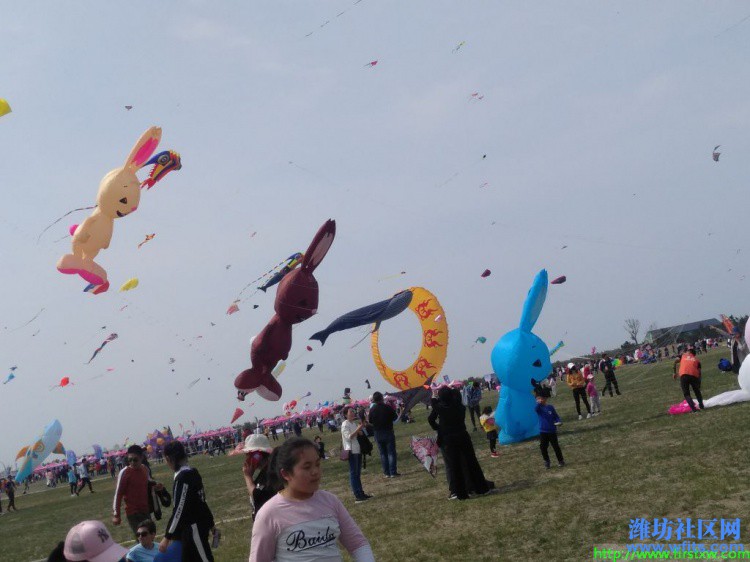 IMG_20190420_140107R.jpg