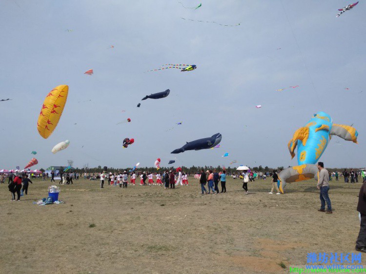 IMG_20190420_140458R.jpg