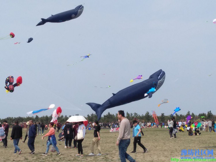 IMG_20190420_140505R.jpg