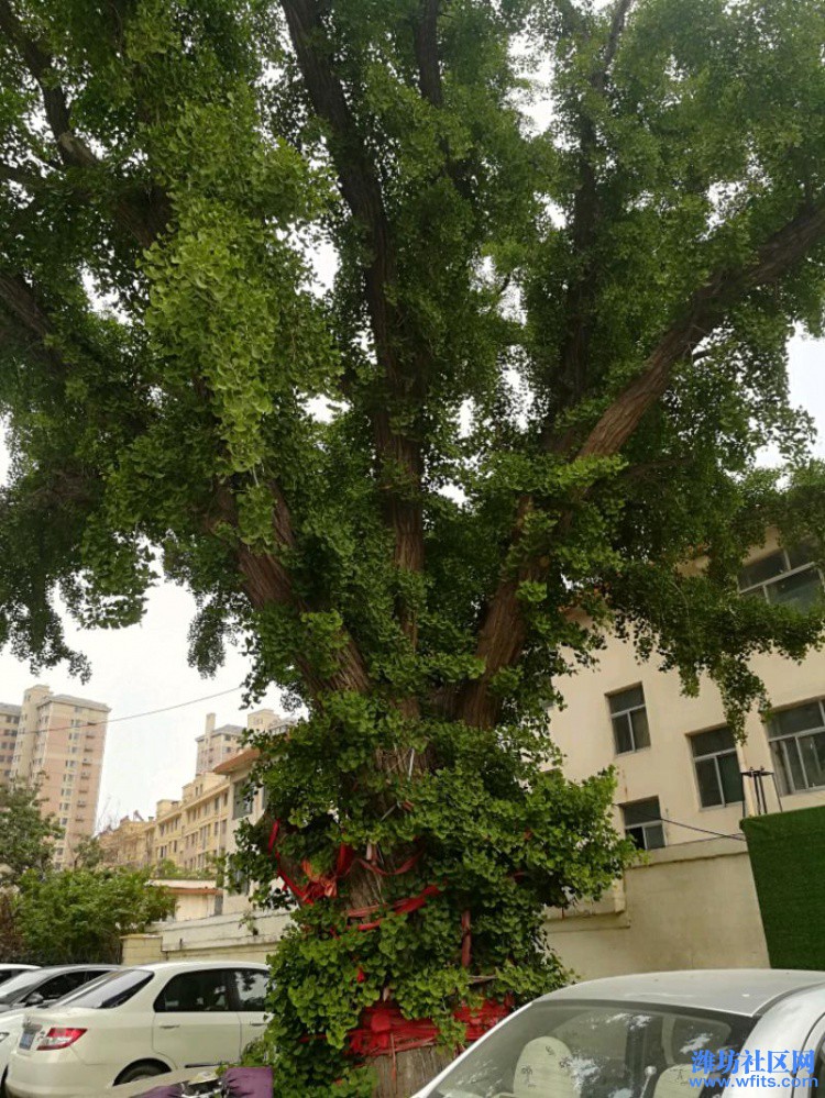 IMG_20190511_165910.jpeg