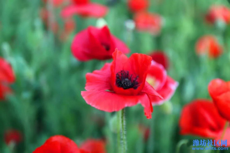 image009.jpg
