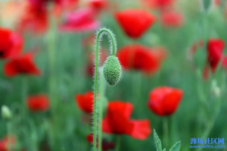 image013.jpg