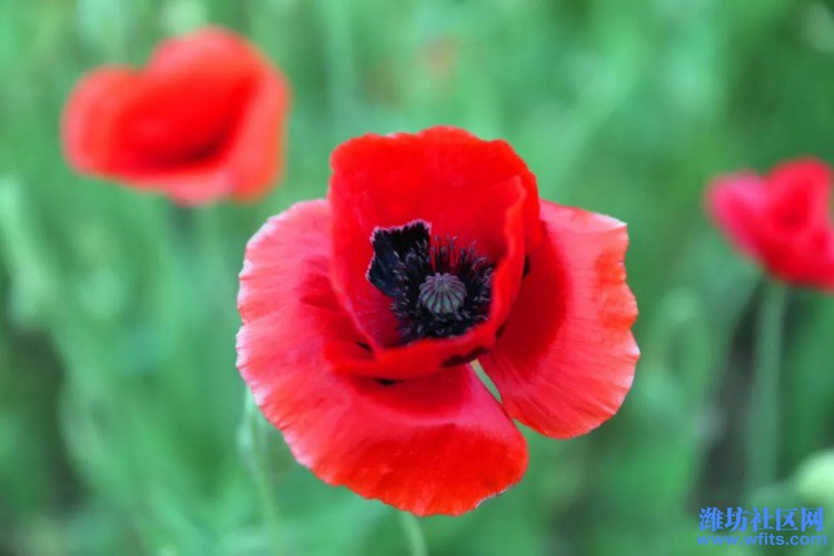 image017.jpg