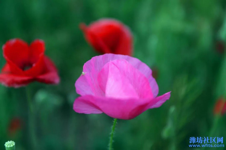 image027.jpg