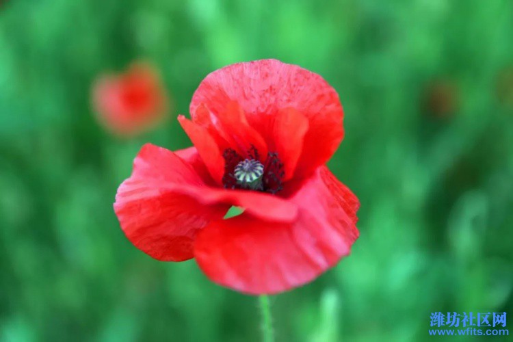 image047.jpg