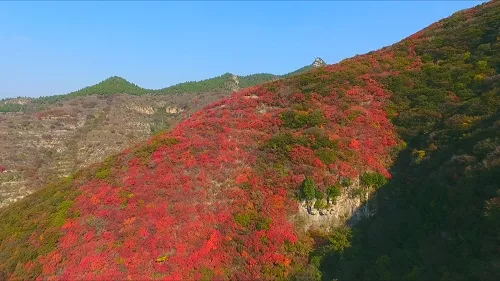 秋季最后一个节气即将到来！明日夜间起冷空气来袭！1823.png