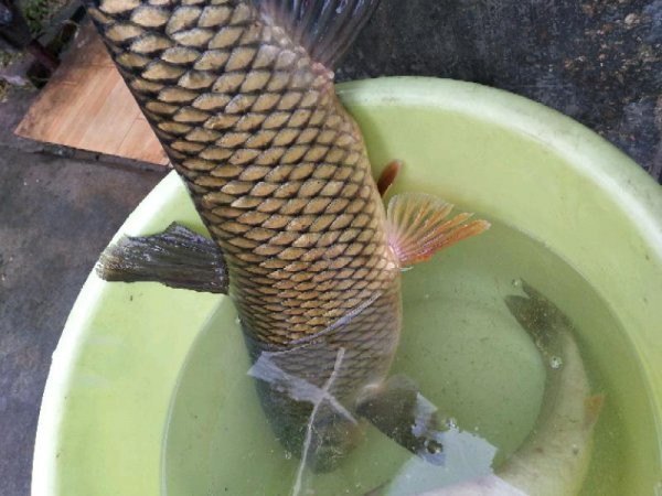 IMG_20200124_091534.jpeg