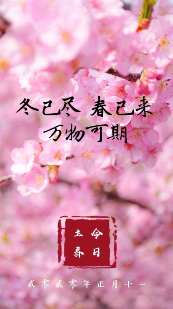mmexport1580783627237.jpeg