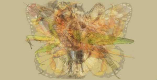 image_edit_0.png