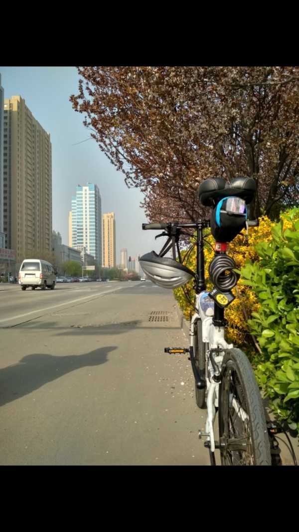 Screenshot_2020-05-09-13-05-02-638_com.miui.gallery.jpg