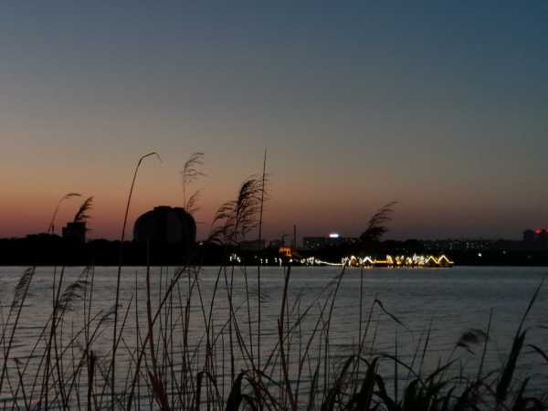 IMG_20200511_192655.jpg