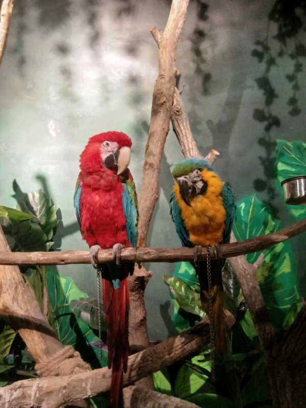 IMG_20200512_144043.jpeg