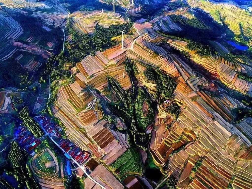 微信图片_20200713141057.jpg