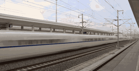 微信图片_20200810145323.gif