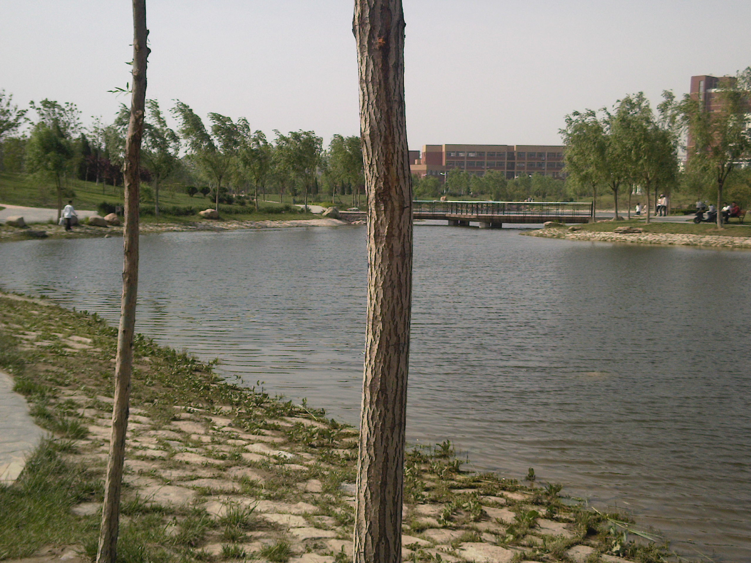 上學的地方 濱州學院小景