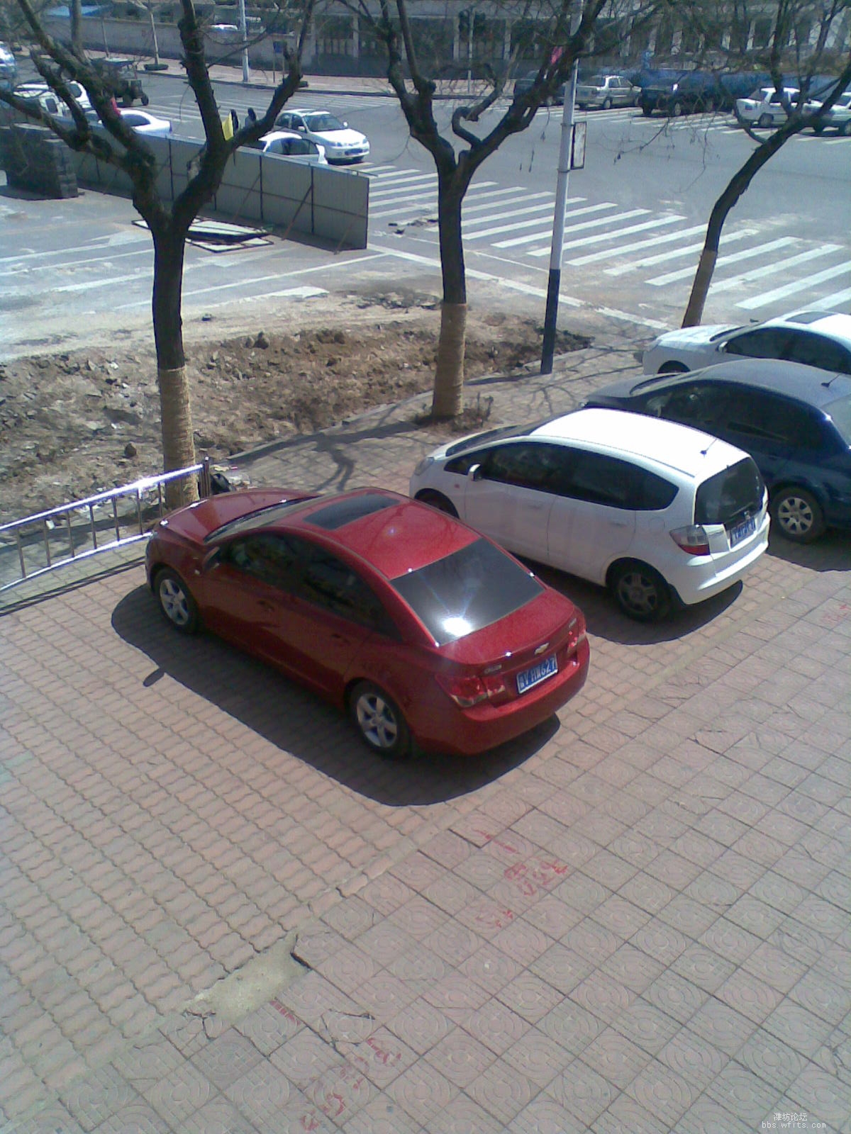 20100408(001).jpg