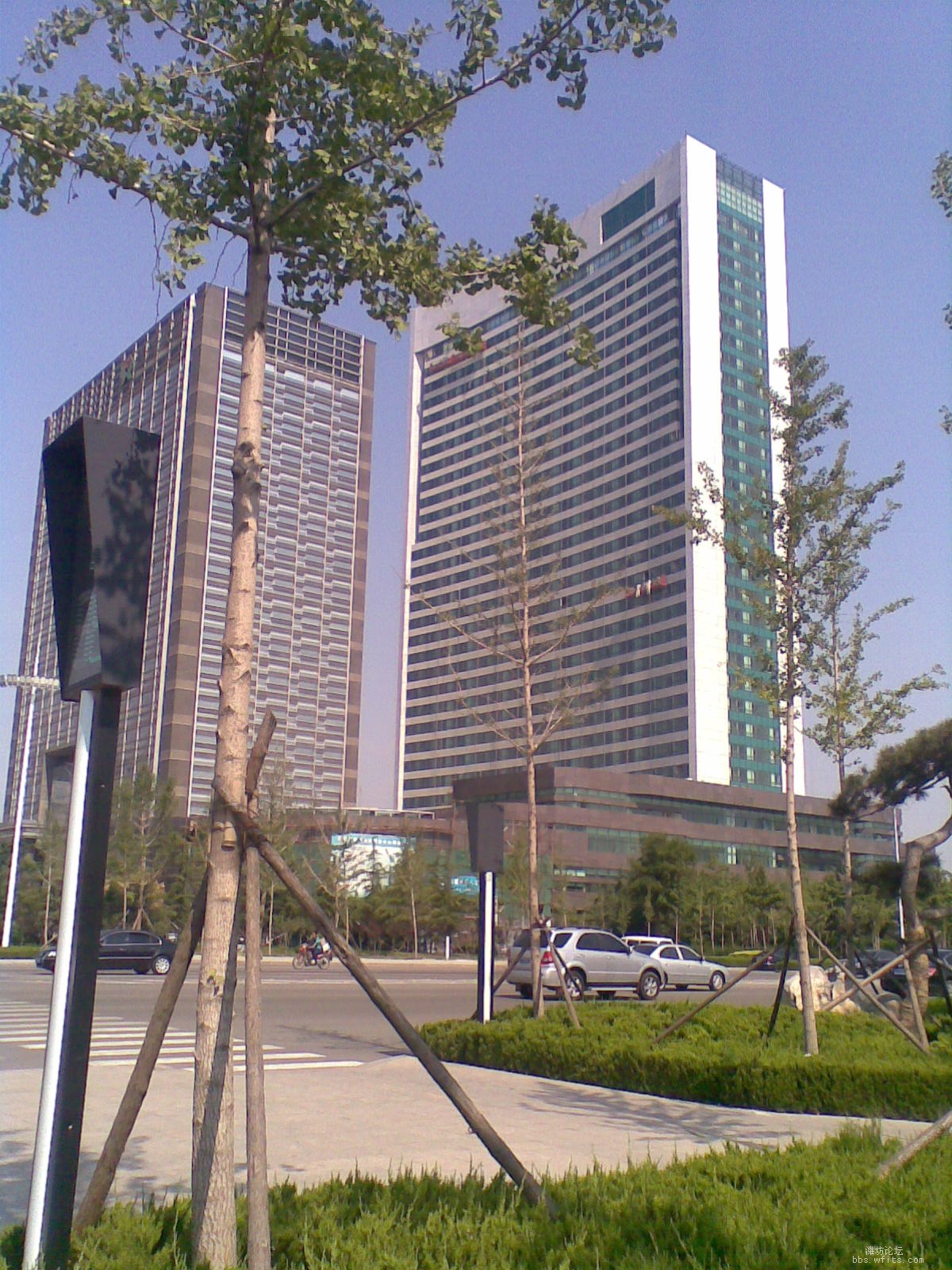 20100607.jpg