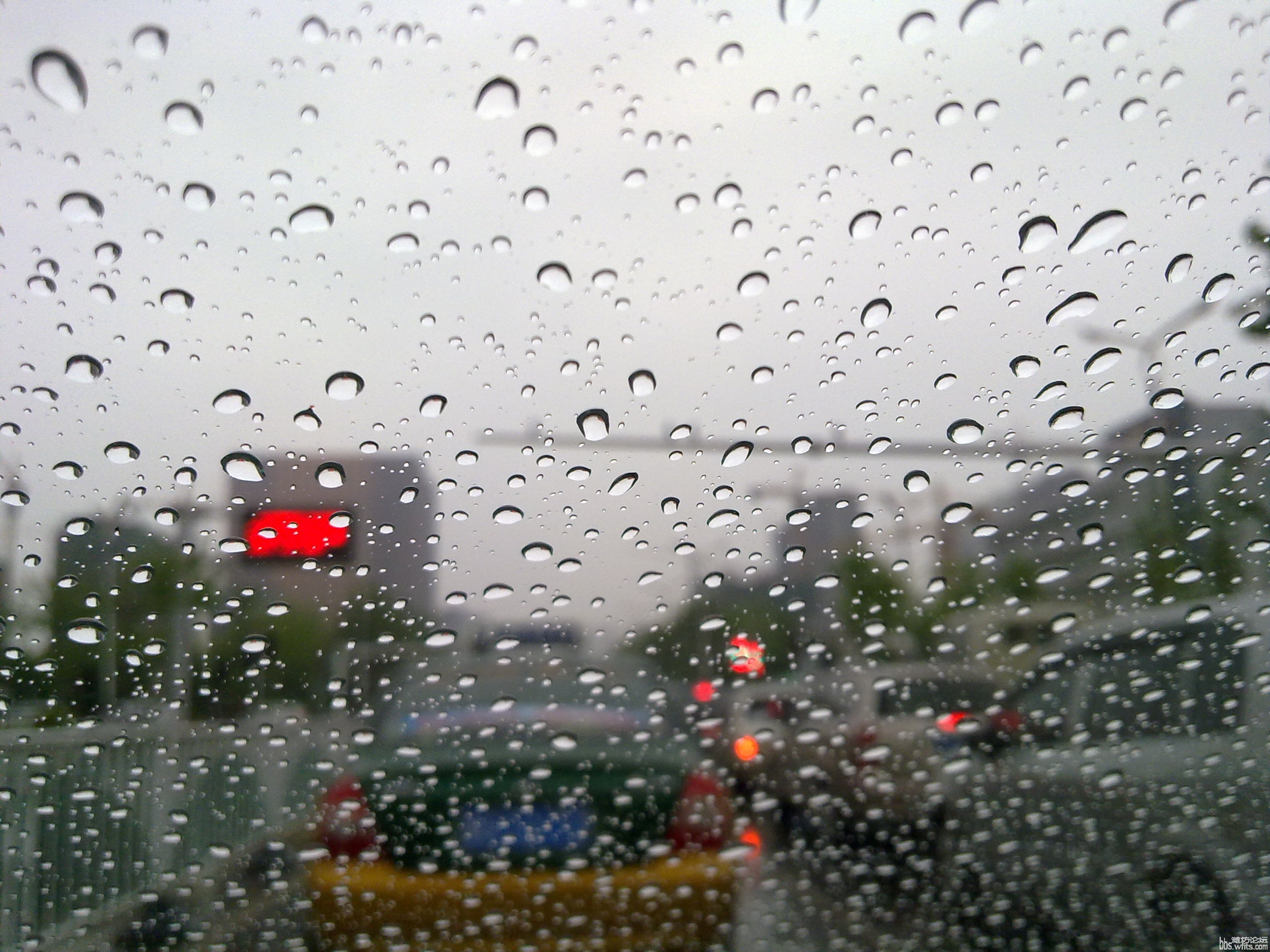 虞河路口下雨中