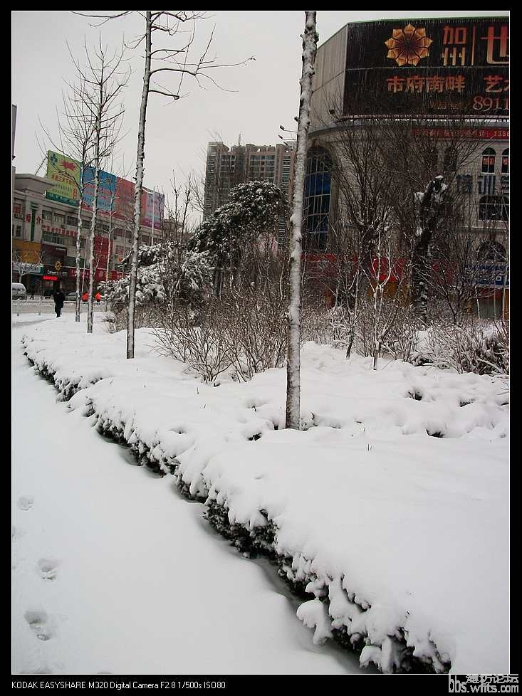 nEO_IMG_2010元宵雪 027.jpg