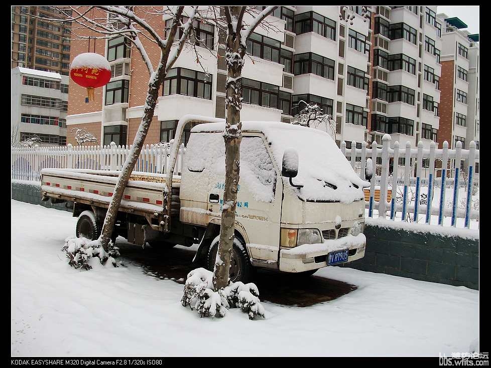 nEO_IMG_2010元宵雪 021.jpg