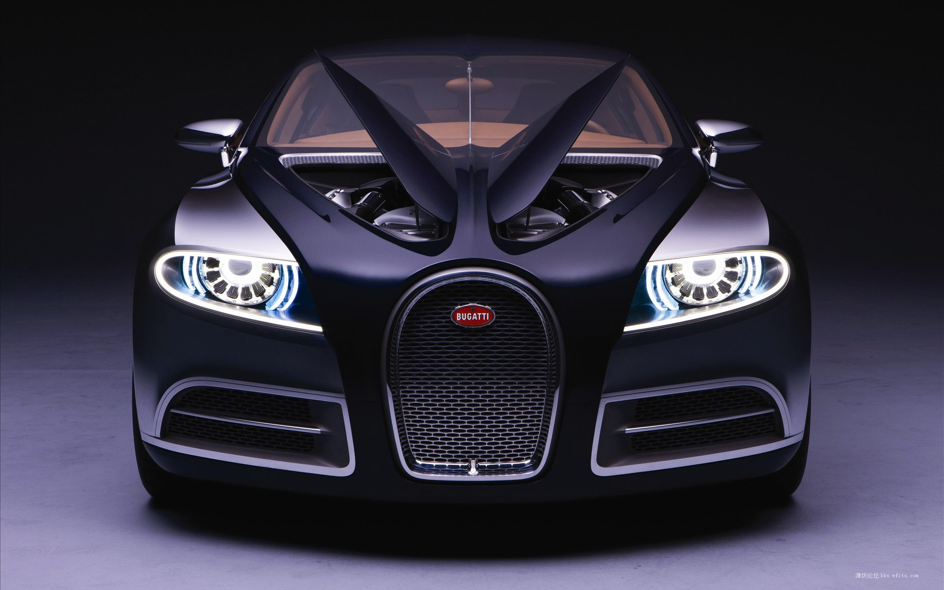 bugattiveyron-023.jpg