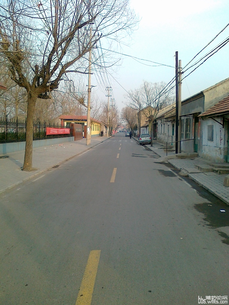 20101219239.jpg