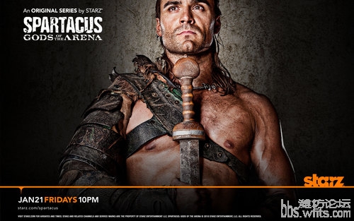 Gannicus-spartacus-blood-and-sand-17111928-500-313.jpg